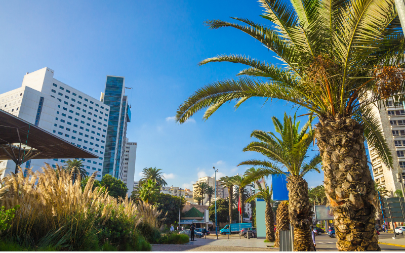 10-Day Morocco Tour From Casablanca to Marrakech via Desert